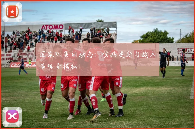 国家队集训动态：伤病更新与战术演练全揭秘