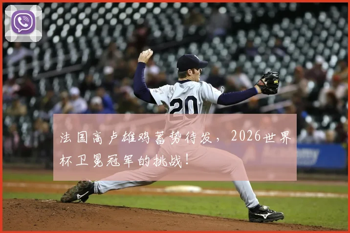 法国高卢雄鸡蓄势待发，2026世界杯卫冕冠军的挑战！