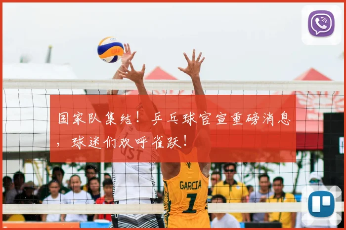 国家队集结！乒乓球官宣重磅消息，球迷们欢呼雀跃！